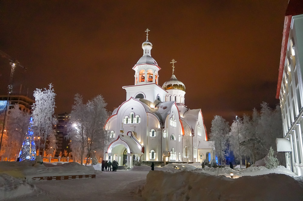 Омск кафедральный собор ночь